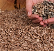 Sunflower Seed Extraction Pallets
